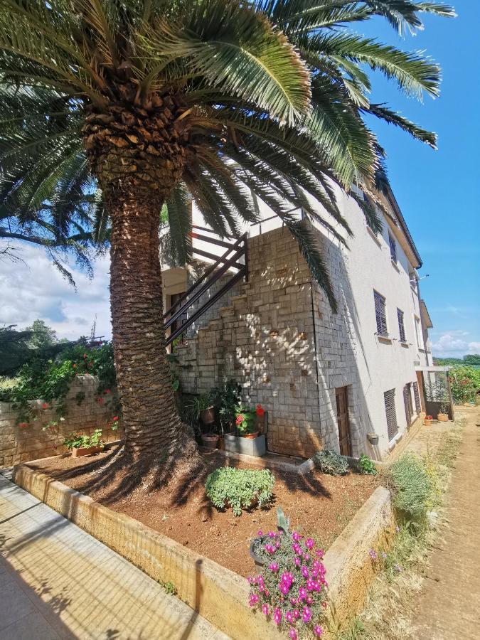 Kira - Spacious With Sea View *